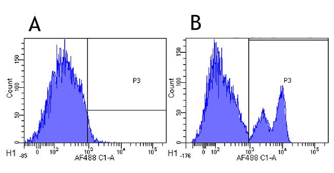 CD40 Chimeric Antibody in Flow Cytometry (Flow)