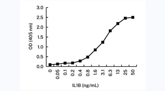 IL-1 beta Antibody in ELISA (ELISA)