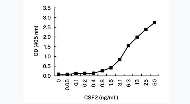 GM-CSF Antibody in ELISA (ELISA)