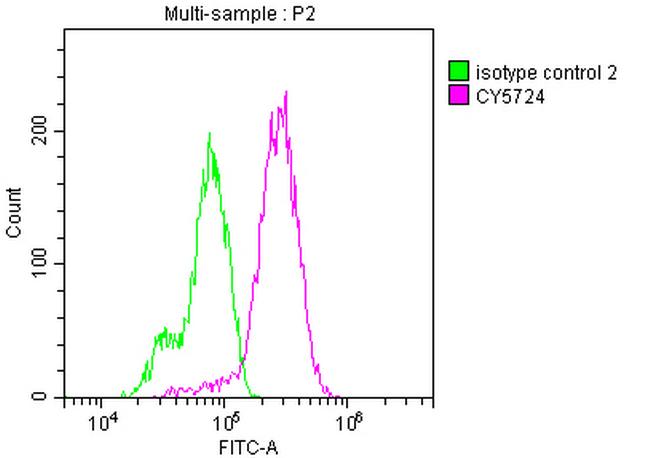 RET Antibody in Flow Cytometry (Flow)