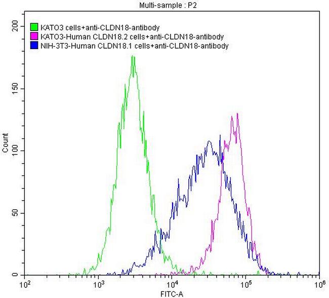 Claudin 18 Antibody in Flow Cytometry (Flow)