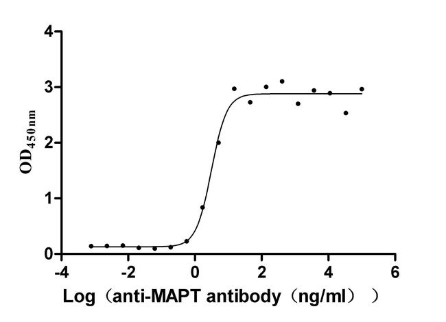 Tau Antibody in ELISA (ELISA)