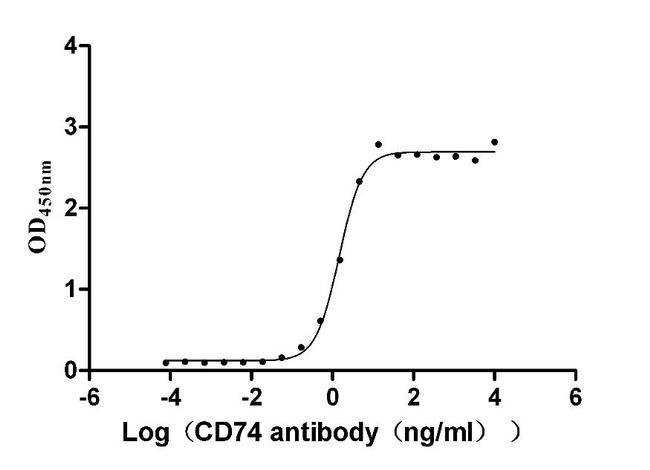 CD74 Antibody in ELISA (ELISA)