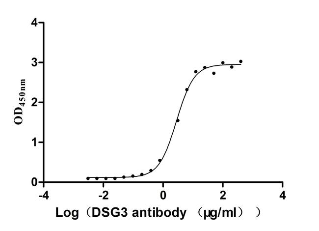 Desmoglein 3 Antibody in ELISA (ELISA)