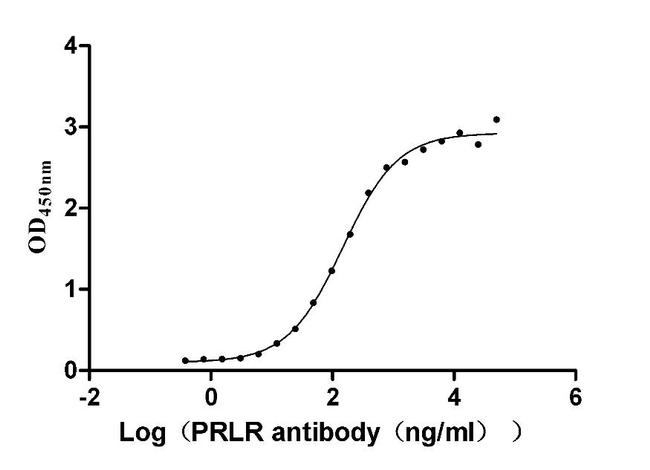 Prolactin Receptor Antibody in ELISA (ELISA)