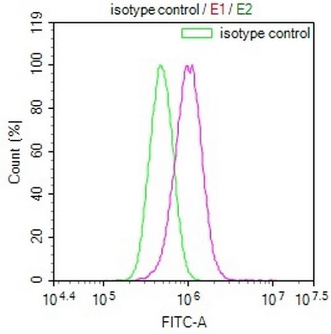 RAB27A Antibody in Flow Cytometry (Flow)