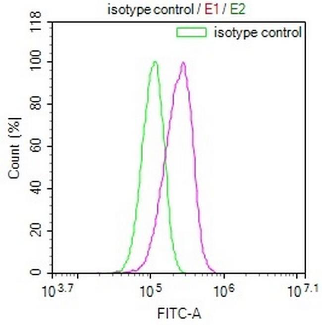 GALT Antibody in Flow Cytometry (Flow)