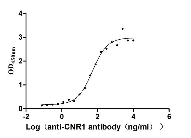 Cannabinoid Receptor 1 Antibody in ELISA (ELISA)