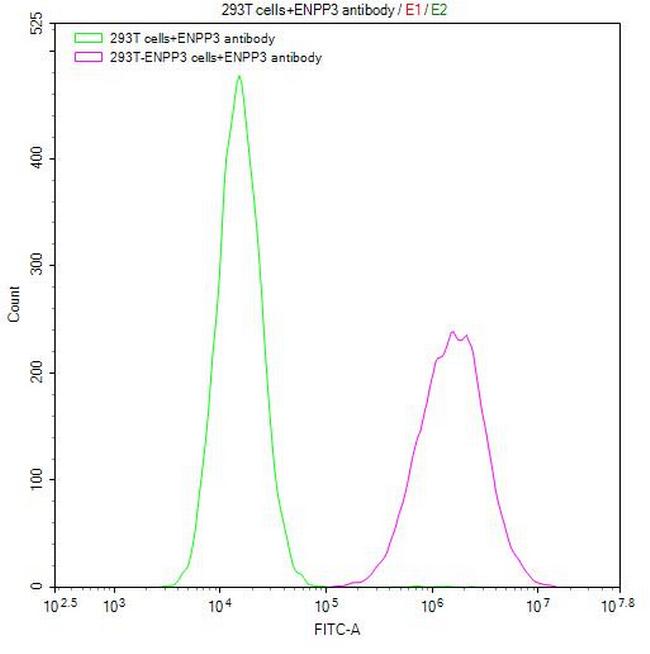 CD203c Antibody in Flow Cytometry (Flow)