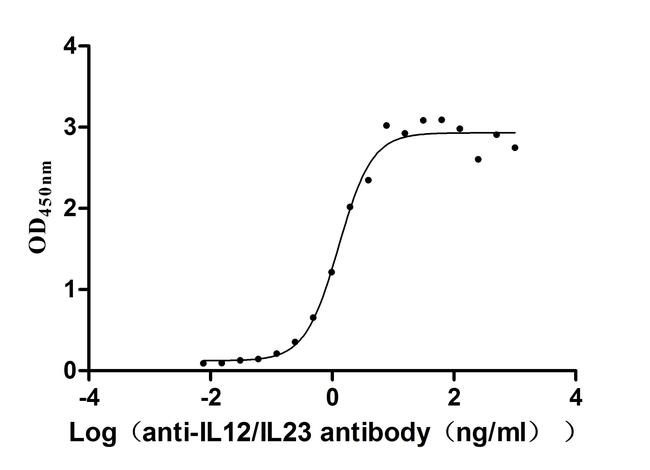 IL-12/IL-23 p40 Antibody in ELISA (ELISA)