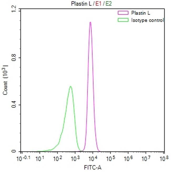 L-Plastin Antibody in Flow Cytometry (Flow)