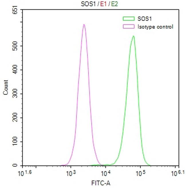 SOS1 Antibody in Flow Cytometry (Flow)