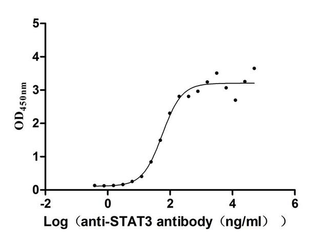 STAT3 Antibody in Neutralization (Neu)