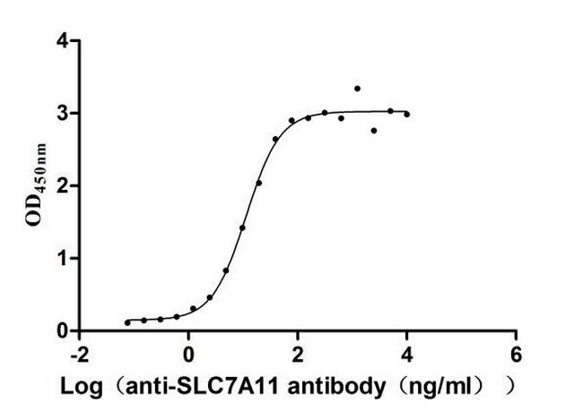 SLC7A11 Antibody in ELISA (ELISA)