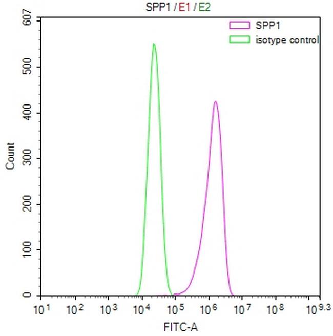 Osteopontin Antibody in Flow Cytometry (Flow)