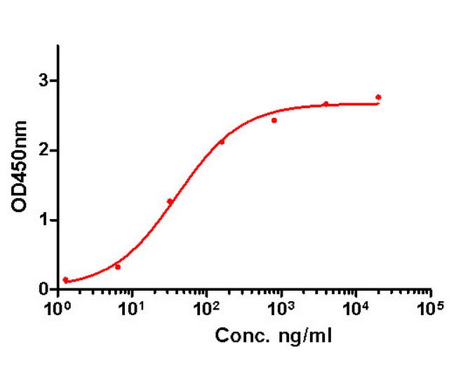 GM-CSF Antibody in ELISA (ELISA)