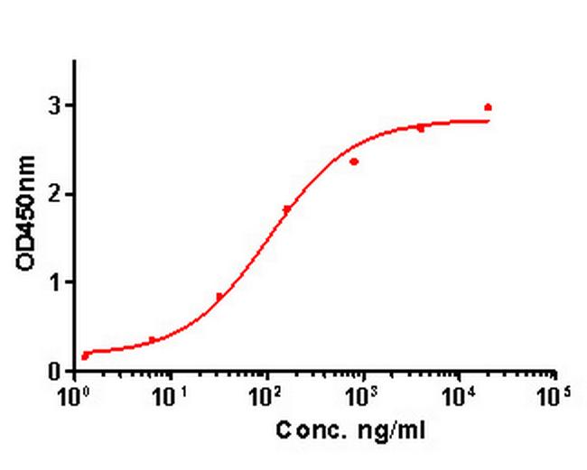 IL-1 beta Antibody in ELISA (ELISA)