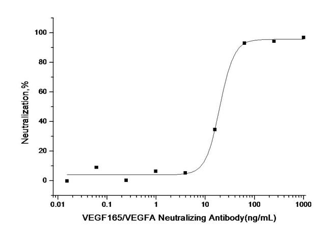 VEGF-165 Antibody in Neutralization (Neu)