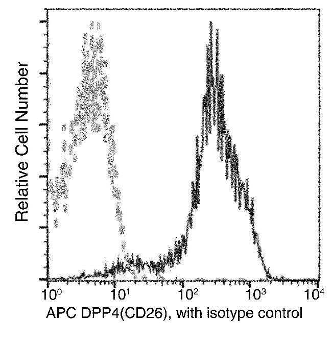 DPP4 Antibody in Flow Cytometry (Flow)