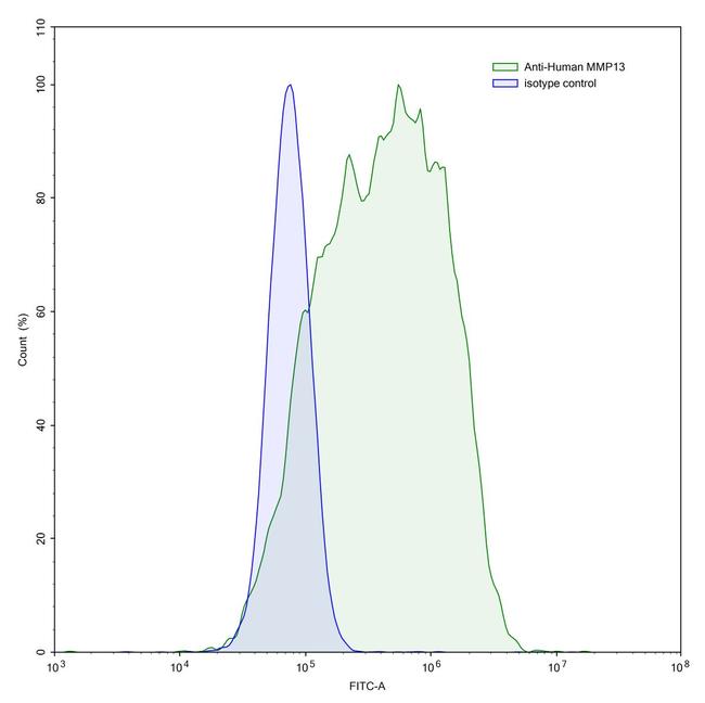 MMP13 Antibody in Flow Cytometry (Flow)