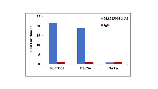 PU.1 Antibody in ChIP Assay (ChIP)