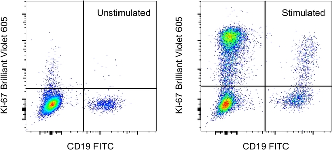 Ki-67 Antibody in Flow Cytometry (Flow)