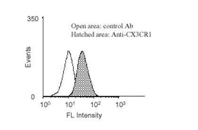 CX3CR1 Antibody in Flow Cytometry (Flow)