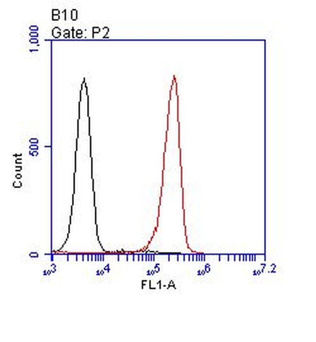 CD35 Antibody in Flow Cytometry (Flow)