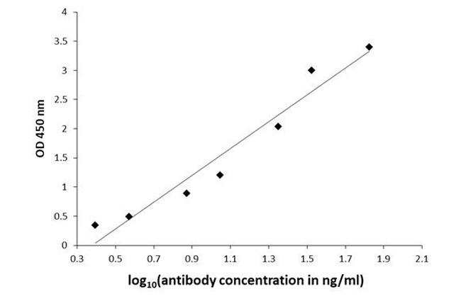 3-Methoxytyramine Antibody in ELISA (ELISA)