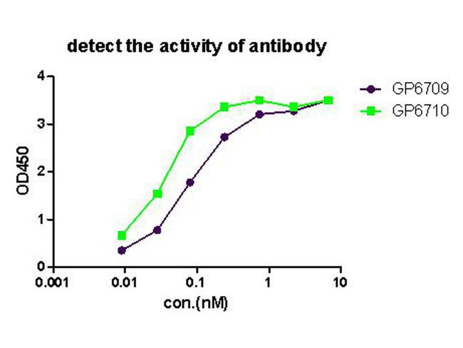 RBPMS Antibody in ELISA (ELISA)