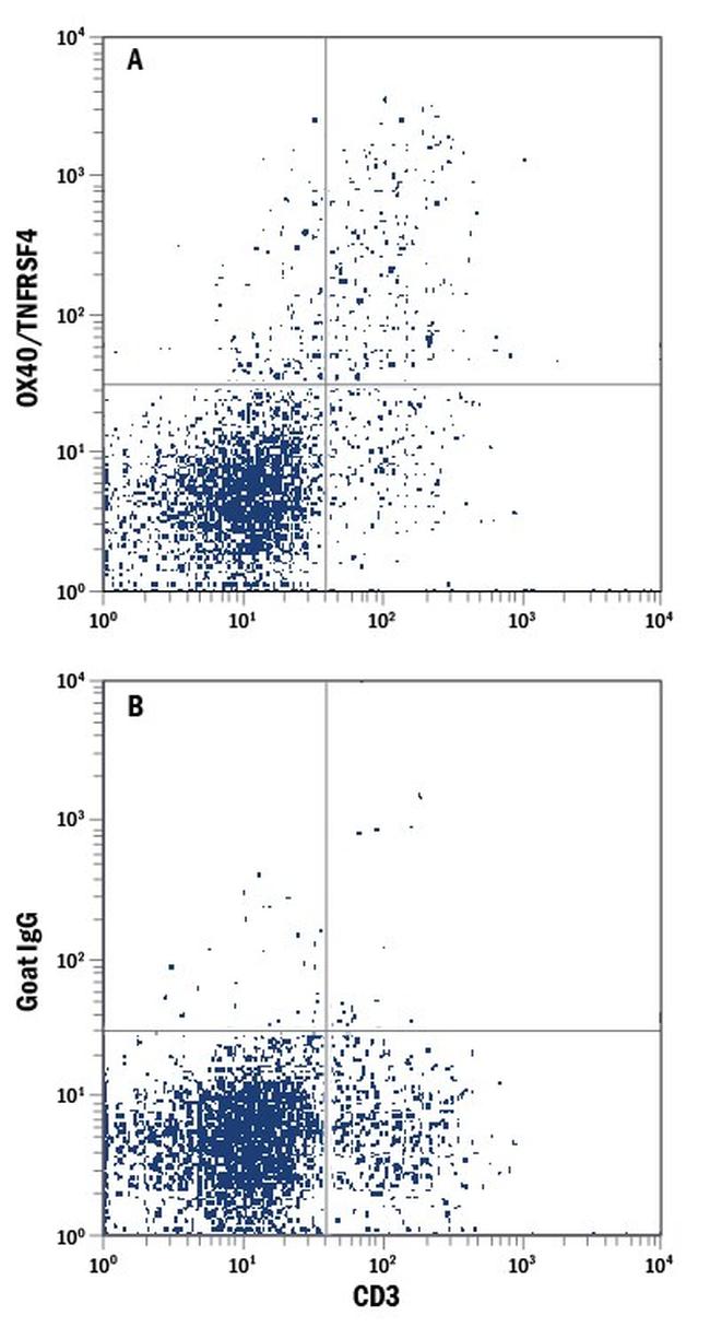 OX40 Antibody in Flow Cytometry (Flow)