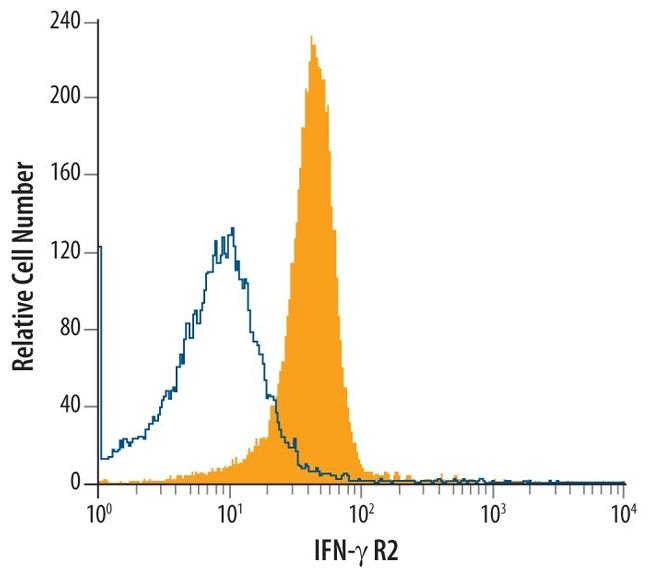 IFNGR2 Antibody in Flow Cytometry (Flow)