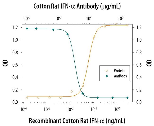 IFN alpha Antibody in Neutralization (Neu)