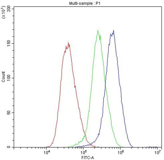 Catenin alpha-1 Antibody in Flow Cytometry (Flow)