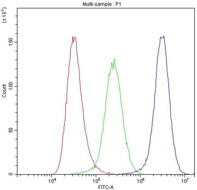 Cytochrome P450 Reductase Antibody in Flow Cytometry (Flow)