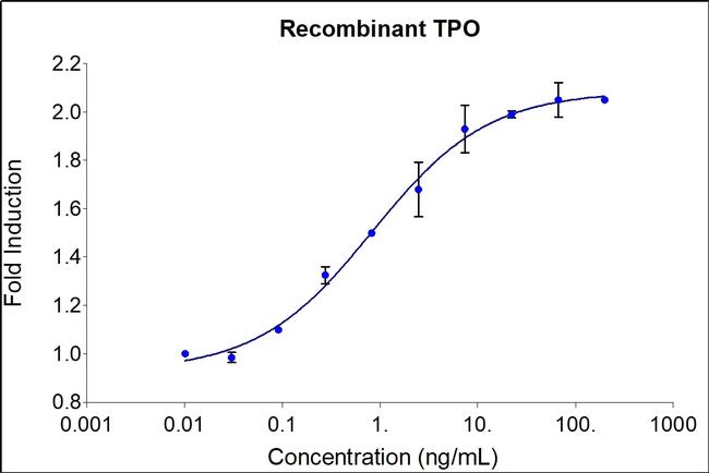 Human TPO (Thrombopoietin) Protein in Functional Assay (Functional)