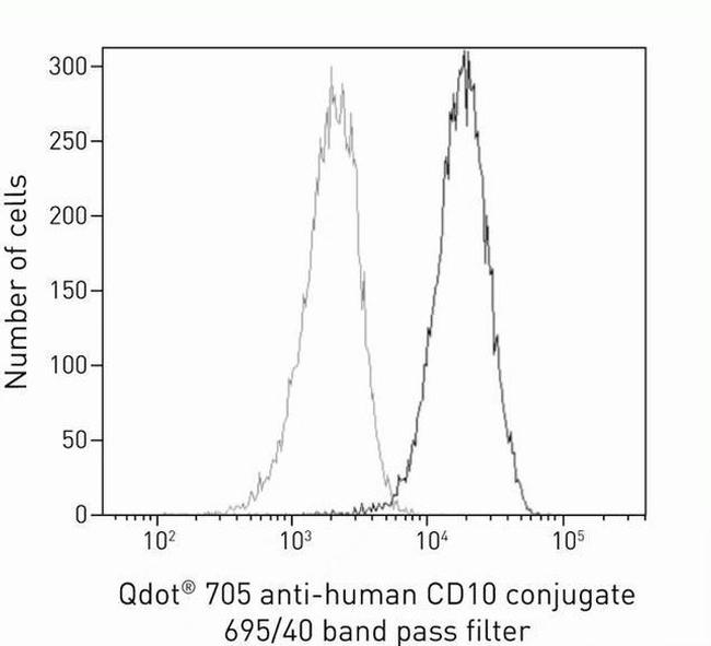 CD10 Antibody in Flow Cytometry (Flow)