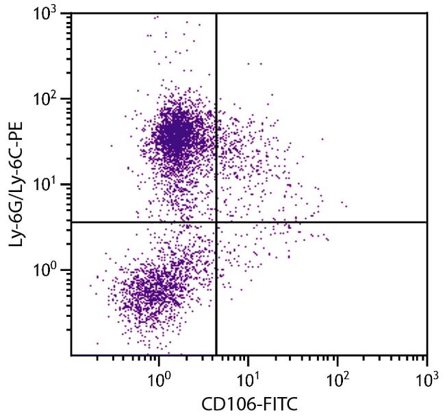 VCAM-1 Antibody in Flow Cytometry (Flow)