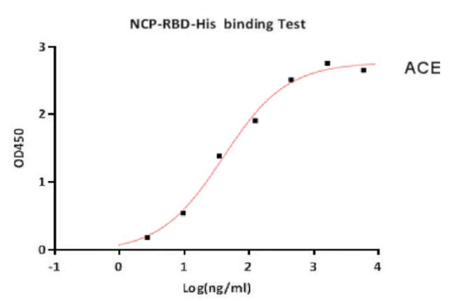 SARS-CoV-2 Spike Protein (RBD) (aa319-541), His Tag Protein in Functional Assay (Functional)