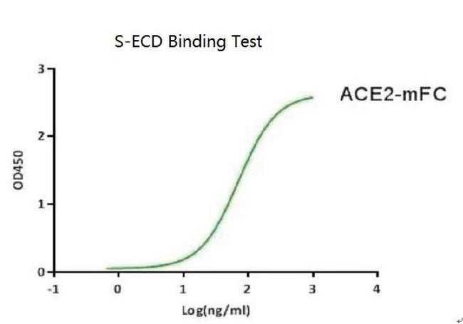 SARS-CoV-2 Spike Protein (S1/S2) (aa16-1213), His-Flag Tag Protein in Functional Assay (Functional)