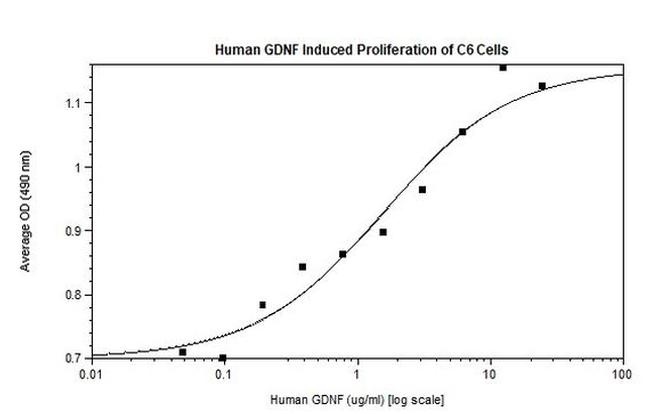 Human GDNF Protein