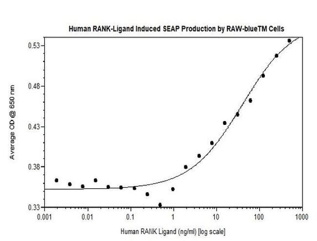 Human TRANCE (RANKL) Protein