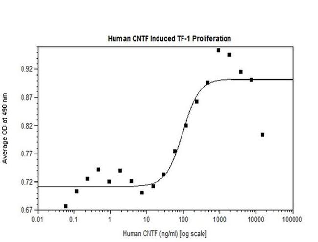 Human CNTF Protein