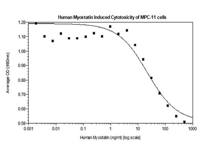 Human Myostatin Protein