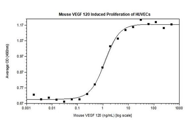 Mouse VEGF-121 Protein