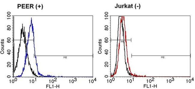 TCR gamma/delta Antibody in Flow Cytometry (Flow)