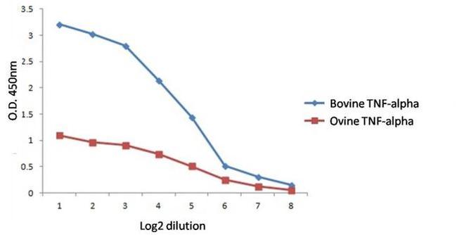 TNF alpha Antibody in ELISA (ELISA)