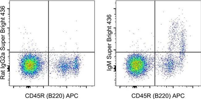 IgM Antibody in Flow Cytometry (Flow)