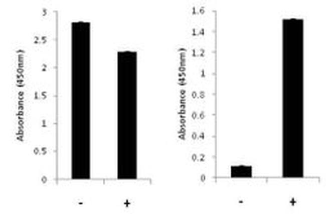 Human STAT3 (Total/Phospho) InstantOne™ ELISA Kit