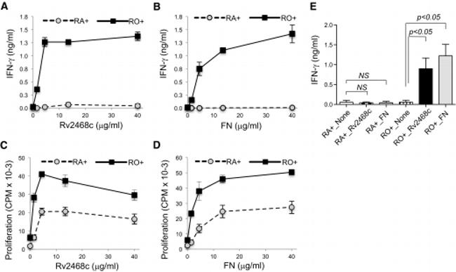 IFN alpha Antibody in ELISA (ELISA)